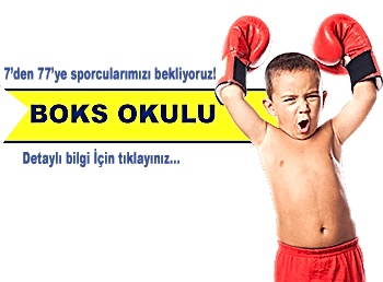 Boks Okulu